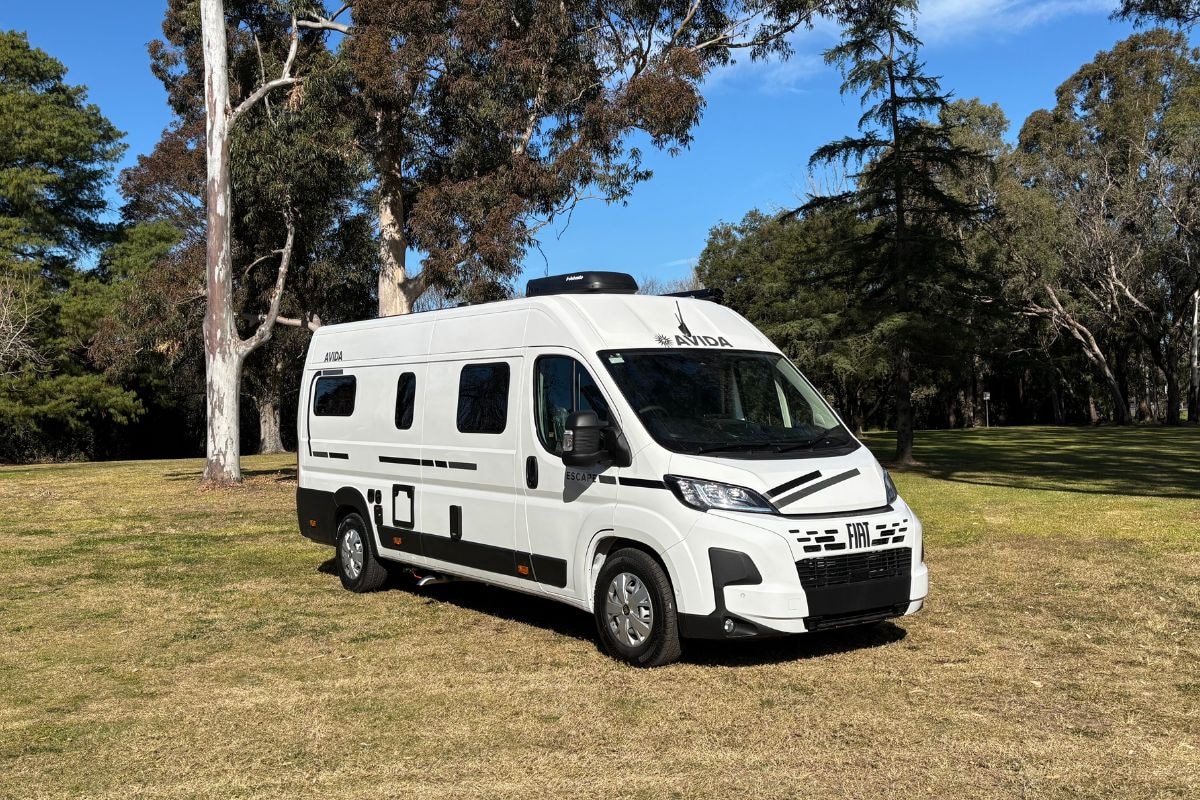 Avida Escape